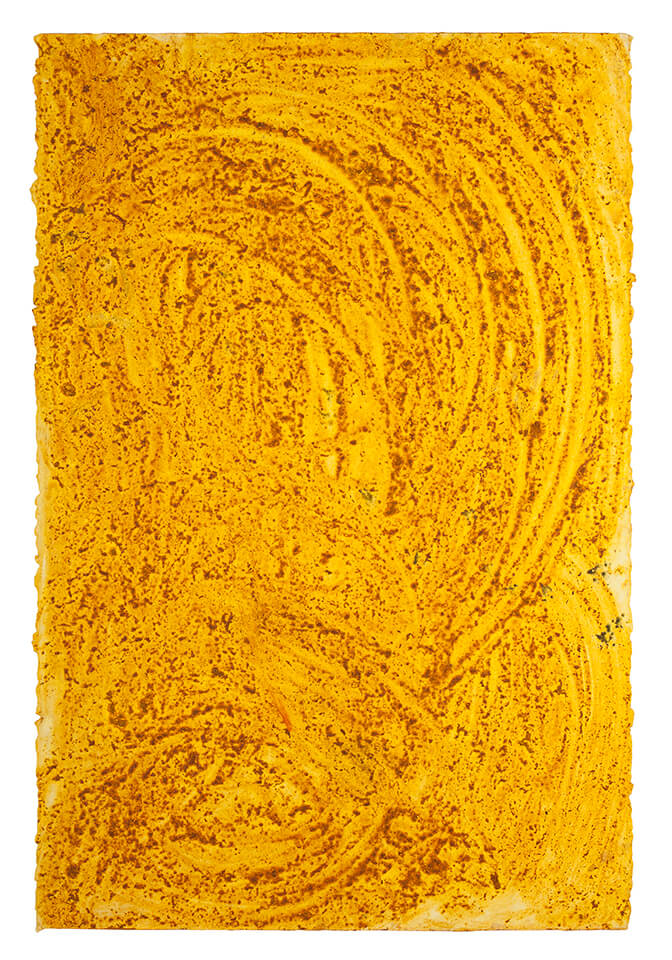 curcuma papel 30.jpg